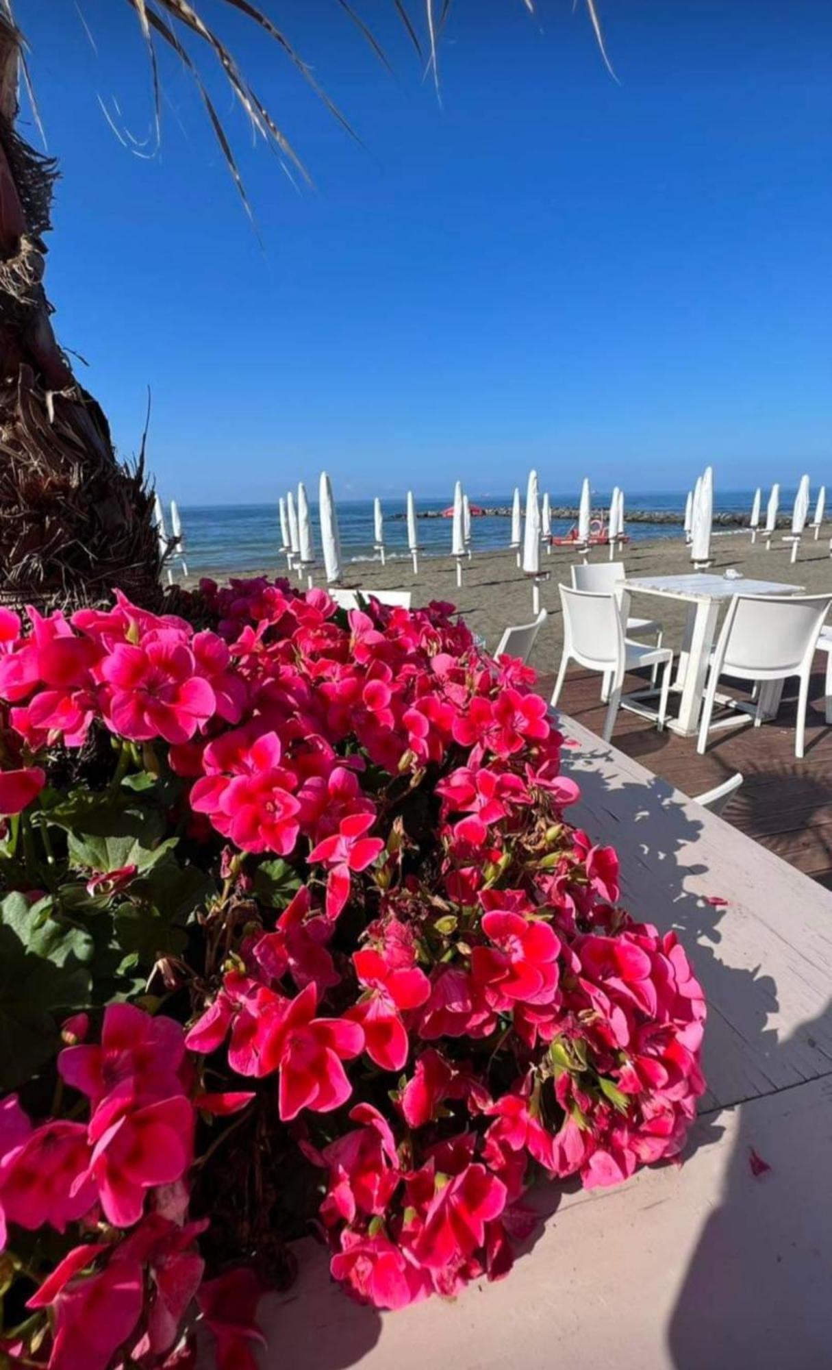 Rosa Dei Venti Apartment Lido di Ostia